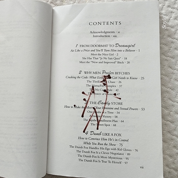 COPY - Why Men Love Bitches Book - Picture 6 of 8